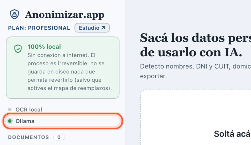 Panel izquierdo de Anonimizar con el indicador Ollama en verde