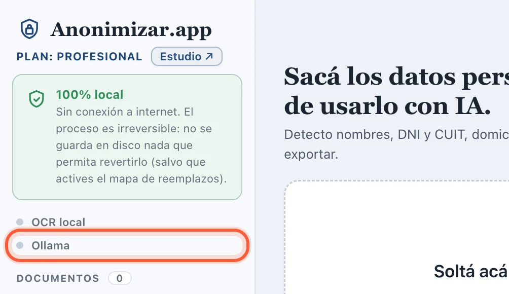 Panel izquierdo de Anonimizar con el indicador Ollama en gris